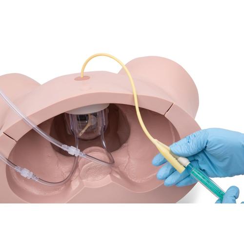 Image 5 - CATHETERIZATION SIMULATOR PRO, MALE