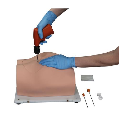 Image 5 - BONNIE BONE MARROW BIOPSY SKILLS TRAINER™