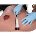 Image 3 - TACTICAL HEMORRHAGE CONTROL TRAINER – THCT2 PRO, MALE