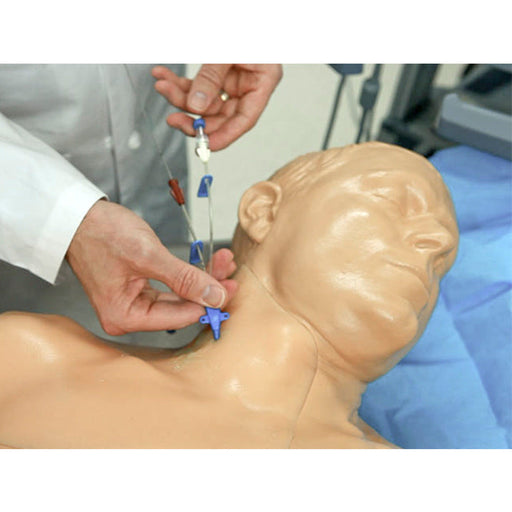 Image 2 - GEN II CENTRAL LINE ULTRASOUND TRAINING MODEL WITH AUTO PUMP