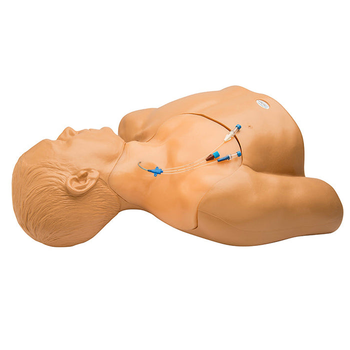 Gen Ii Central Line And Regional Anaesthesia Ultrasound Training Model With Auto Pump