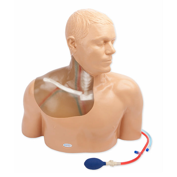 Gen Ii Central Line Ultrasound Training Model With Transparent Insert And Hand Pump