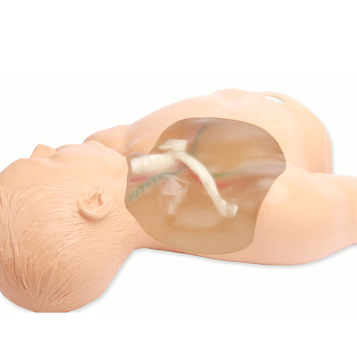 Image 2 - GEN II CENTRAL LINE ULTRASOUND TRAINING MODEL WITH TRANSPARENT INSERT AND HAND PUMP
