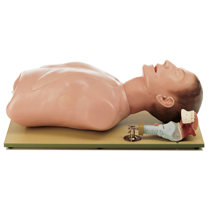 Adult Intubation Trainer