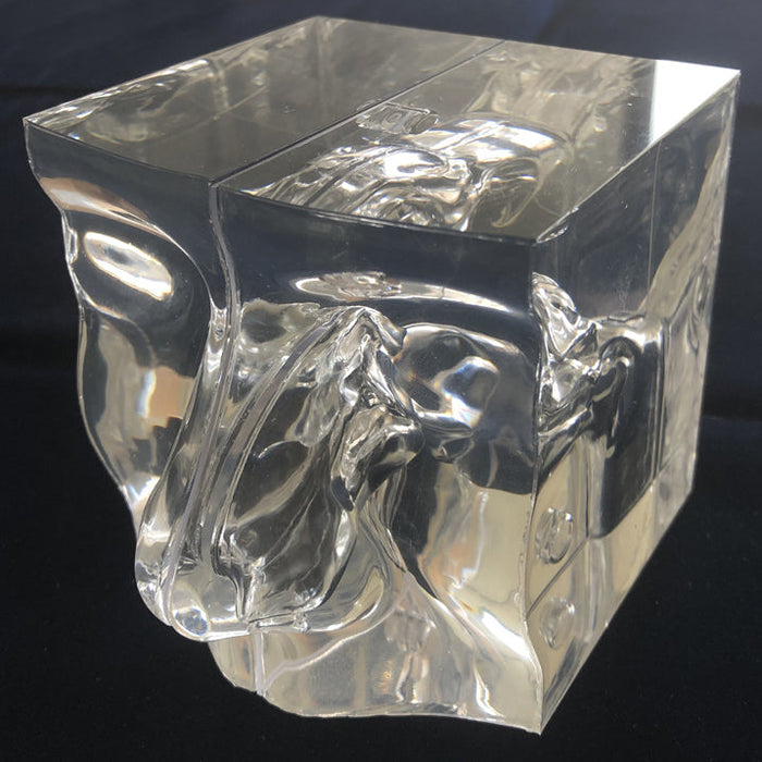 Transparent Nasal Cavity Model