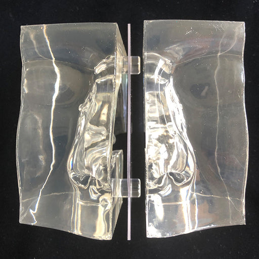 Image 2 - TRANSPARENT NASAL CAVITY MODEL