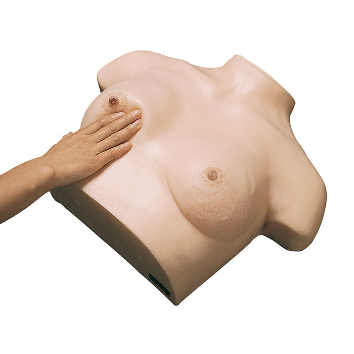 Breast Cancer Training Model