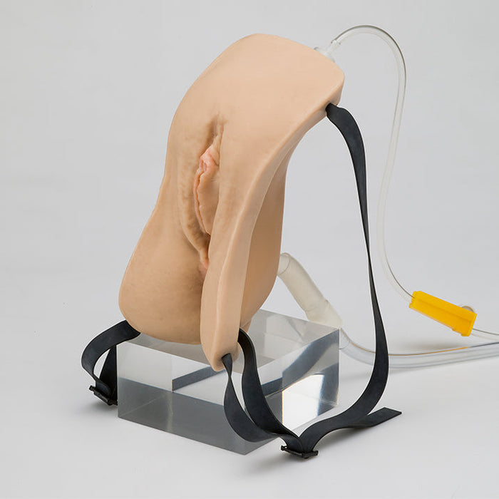 Wearable Female Catheterisation And Enema Simulator