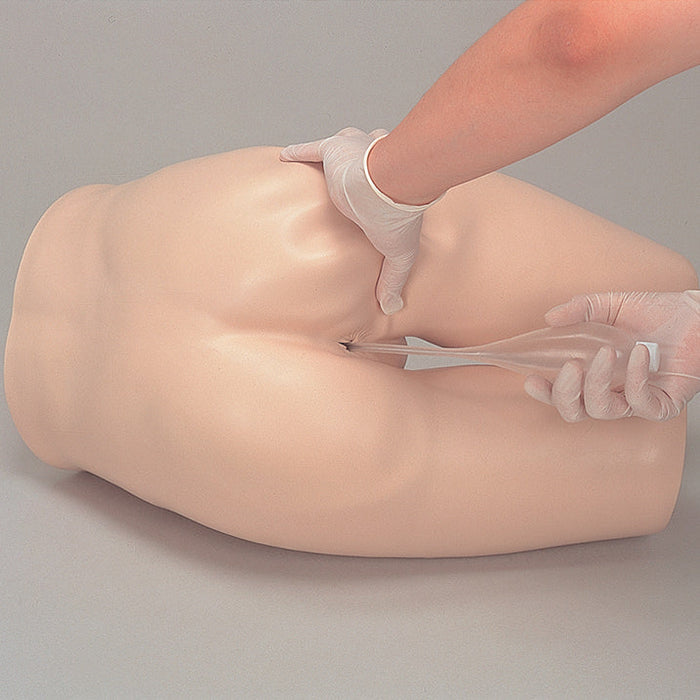 Image 3 - FAECES REMOVAL AND ENEMA TRAINING MODEL