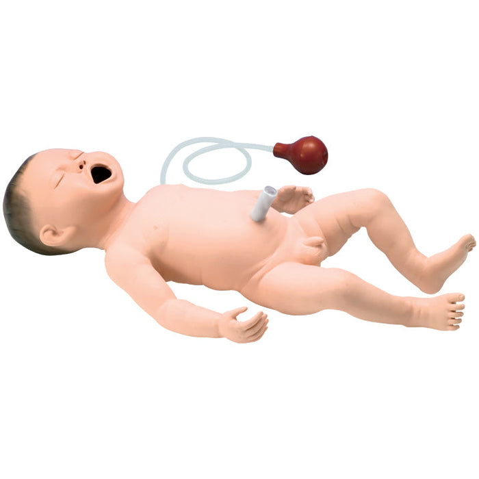 Resuscitation Model Of New-Born Baby (Replaces Ak049)