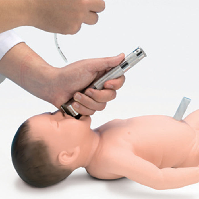 Image 3 - RESUSCITATION MODEL OF NEW-BORN BABY (REPLACES AK049)