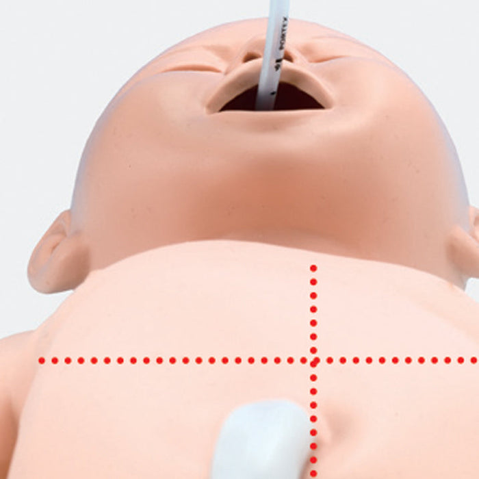 Image 4 - RESUSCITATION MODEL OF NEW-BORN BABY (REPLACES AK049)