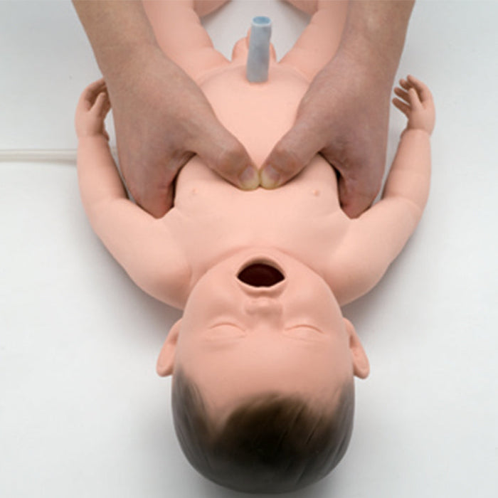 Image 5 - RESUSCITATION MODEL OF NEW-BORN BABY (REPLACES AK049)