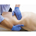 Image 5 - ABDOMINAL EXAMINATION TRAINER