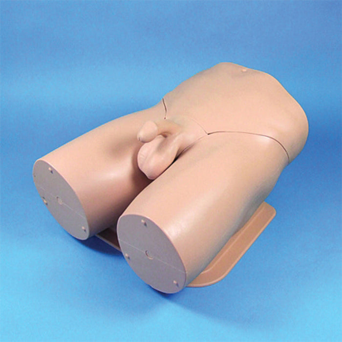 Image 3 - STANDARD CLINICAL MALE PELVIC TRAINER MK2