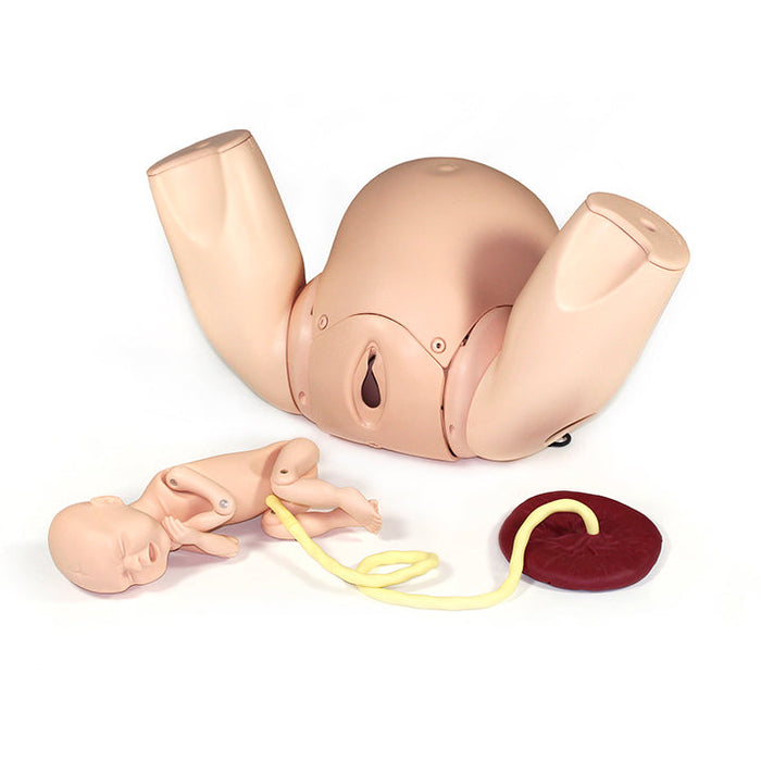 Prompt Flex Birthing Simulator - Advanced