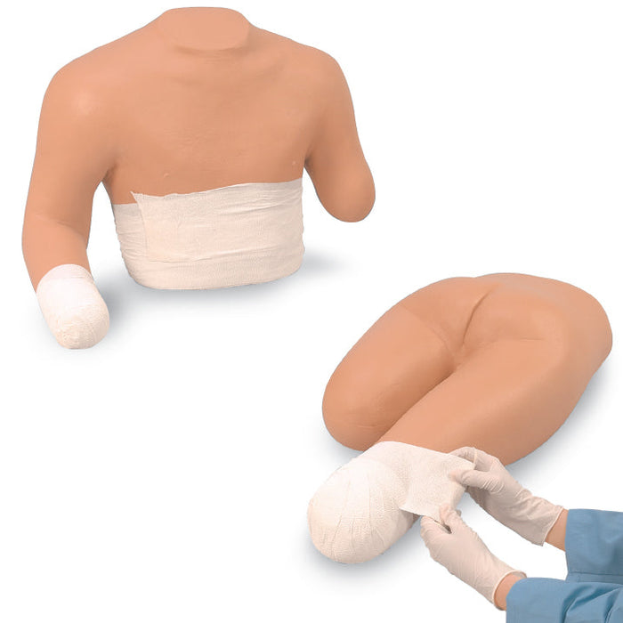 Set Of Upper And Lower Torso Stump Bandaging Simulators