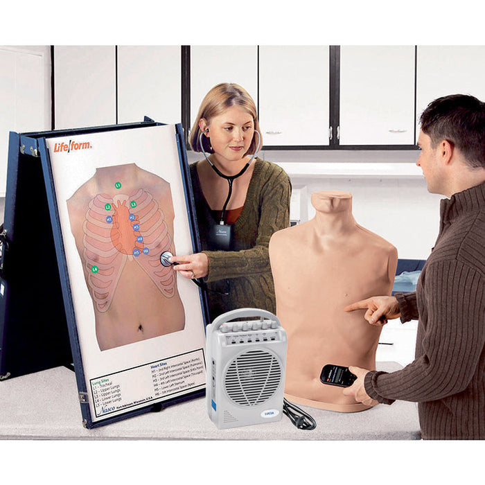 Auscultation Training Station With Anterior Auscultation Board