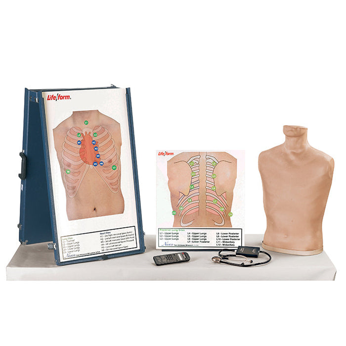 Deluxe Auscultation Training Station With Anterior And Posterior Auscultation Boards