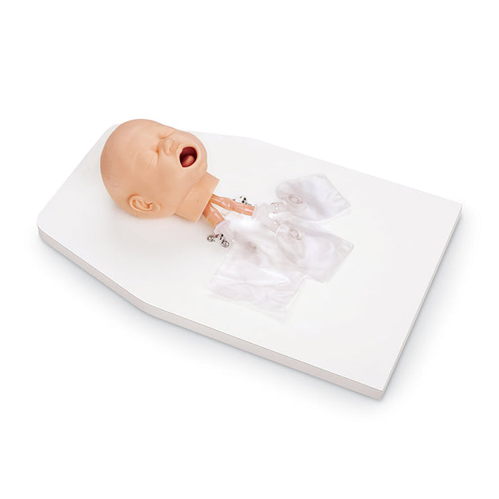 Infant Airway Management Trainer On Stand