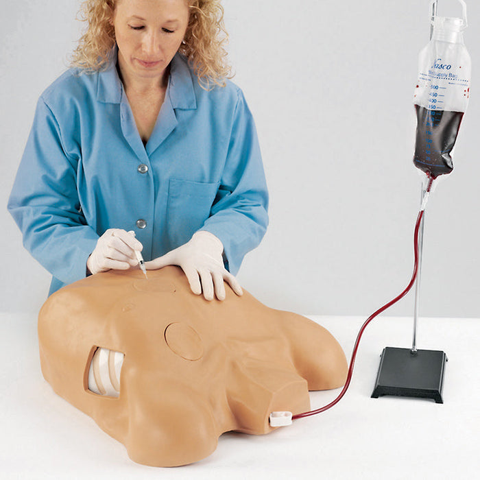 Pericardiocentesis Simulator With Chest Tube And Pneumothorax