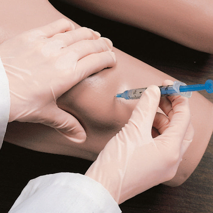 Image 3 - INTRAMUSCULAR INJECTION SIMULATOR