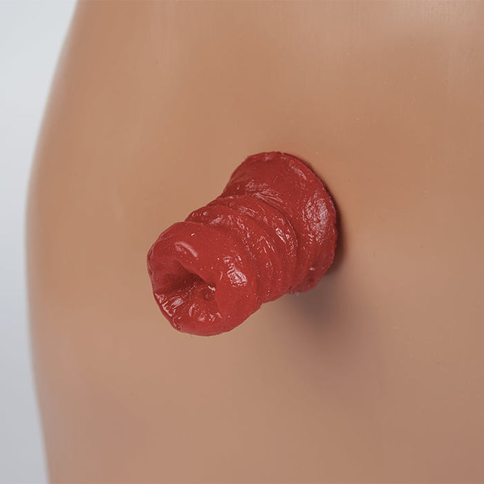 Image 3 - STOMA CARE TORSO, WHITE