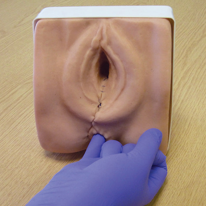 Image 3 - EPISIOTOMY SUTURING/PERINEAL REPAIR TRAINER