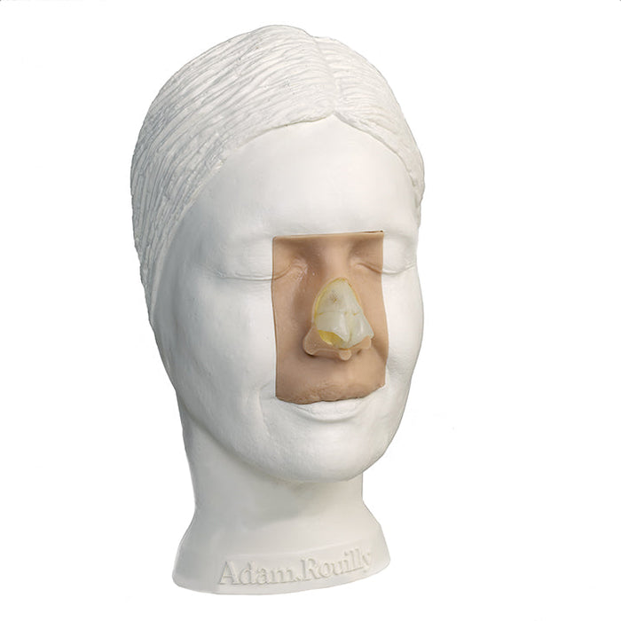 Rhinoplasty Model