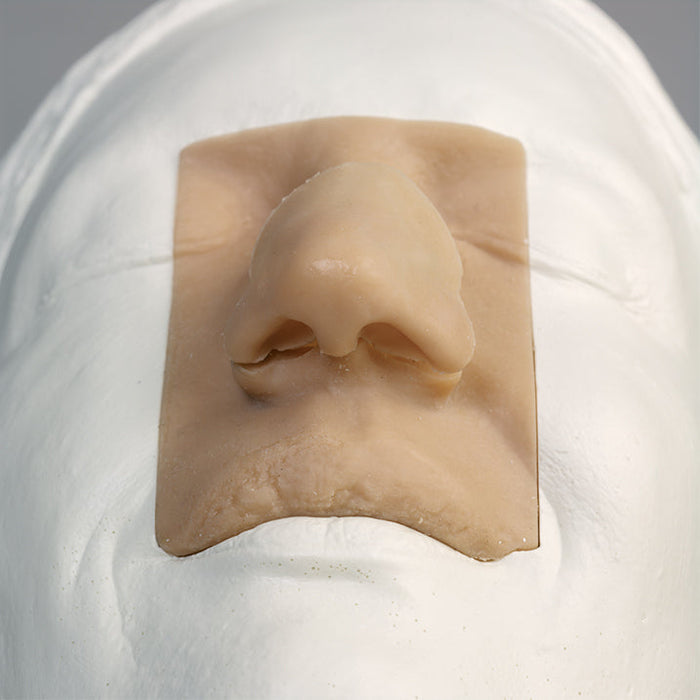 Image 6 - RHINOPLASTY MODEL