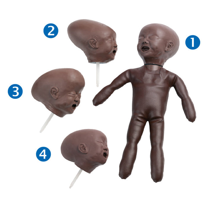 Fetal Doll With Four Heads, Black