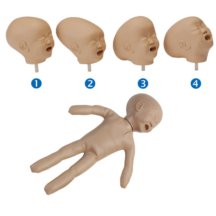 Fetal Doll With Four Heads, White
