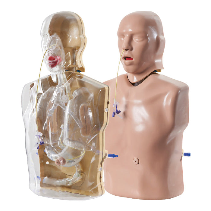 Corman® - Adult Nasogastric/Nasojejunal Feeding Trainer