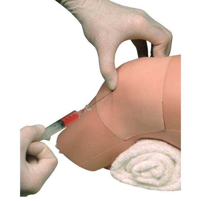 Image 2 - ARTHROCENTESIS MODEL