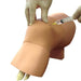 Image 3 - ARTHROCENTESIS TRAINING PACKAGE