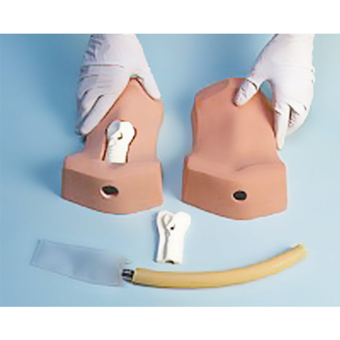 Cricothyrotomy Simulator With Four Overlay Skins