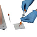 Image 3 - BONNIE BONE MARROW BIOPSY SKILLS TRAINER