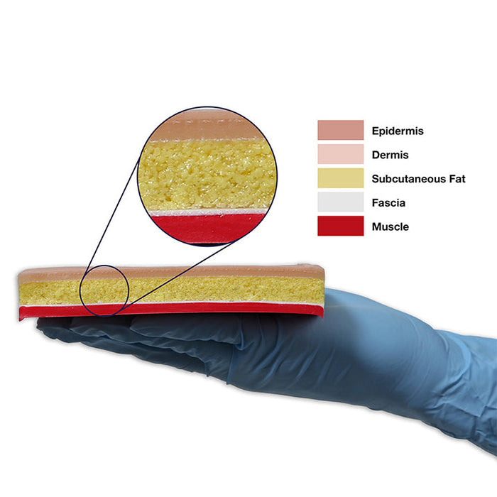 Image 5 - SUTURE SKILLS TRAINER, WHITE