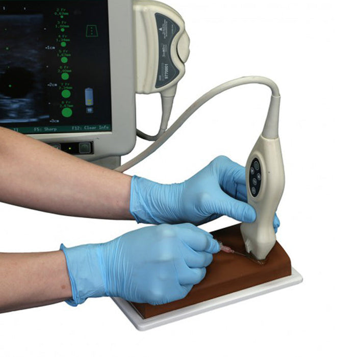 Vascular Access Ultrasound Phantom, Black