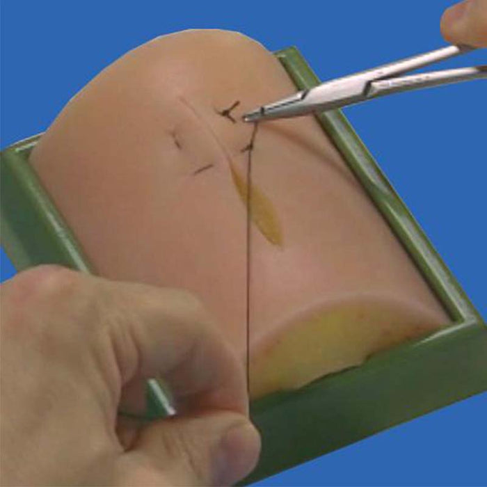 Image 3 - DELUXE STUDENT SUTURING PACKAGE