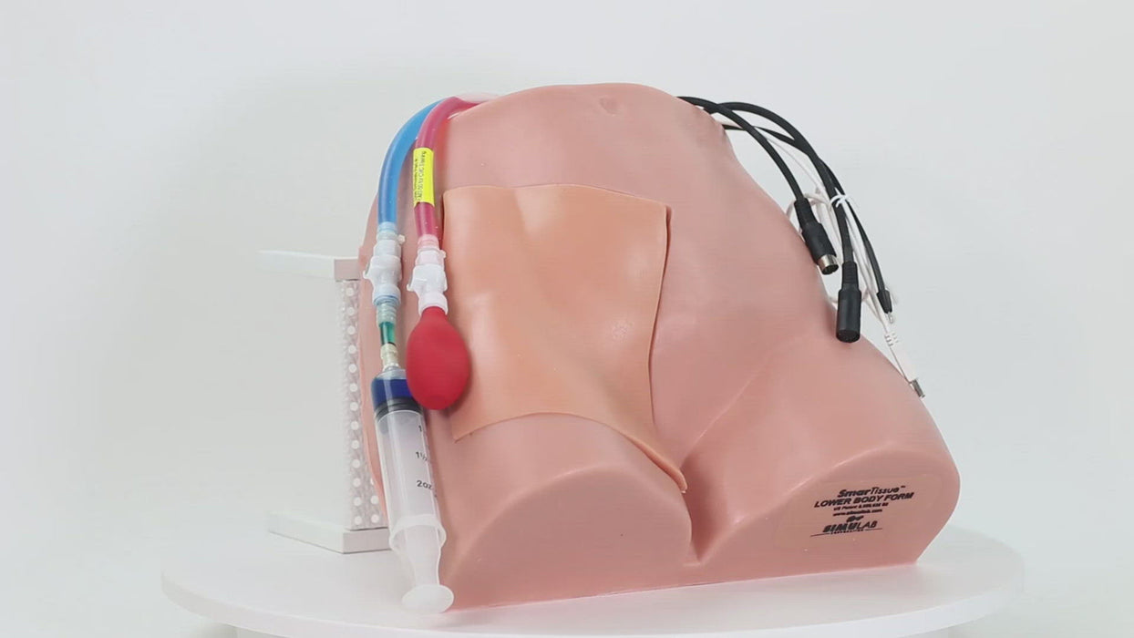 Image 5 - REGIONAL ANESTHESIA FEMORAL TRAINER WITH SMARTISSUE