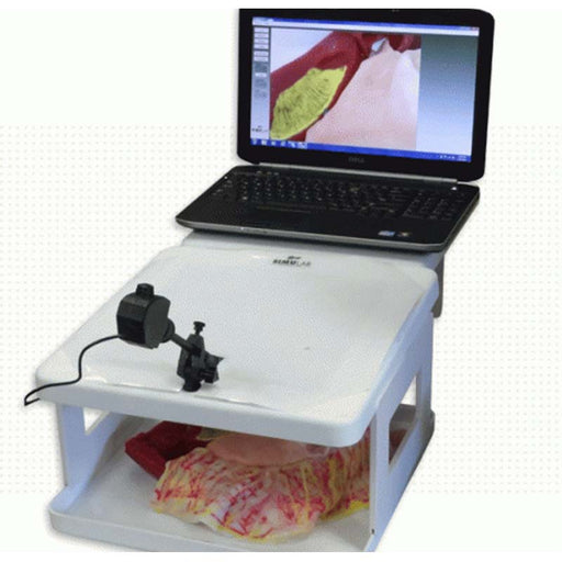 Image 2 - LAPAROSCOPIC CHOLECYSTECTOMY MODEL