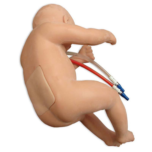 Image 2 - LUMBARPUNCTUREBABY SYSTEM TRAINING PACKAGE