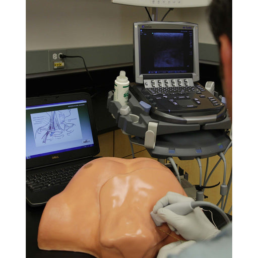 Image 2 - SMARTISSUE REGIONAL ANESTHESIA AND VASCULAR ACCESS TRAINING PACKAGE WITH ARTICULATING HEAD