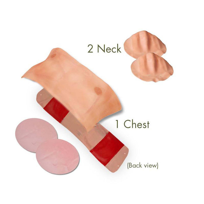 TraumaMan Classic Connect Non-Bleeding Chest & Neck Kit - 4 Student