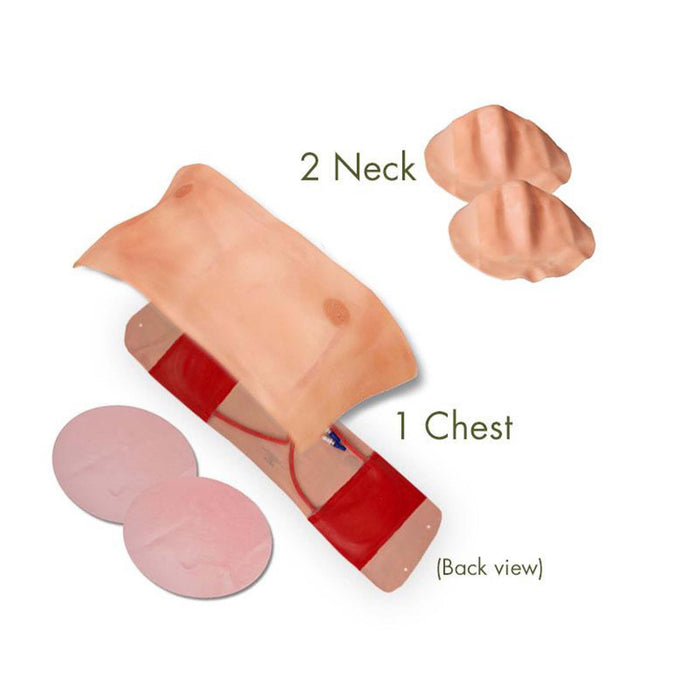 TraumaMan Classic Connect Bleeding Chest and Neck Kit - 4 Student