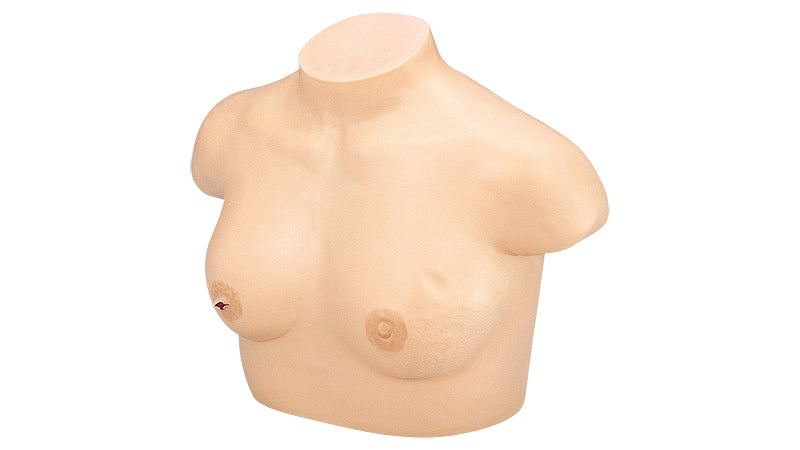 Inspection and Palpation of Breast Cancer Training Model (Precision Type)