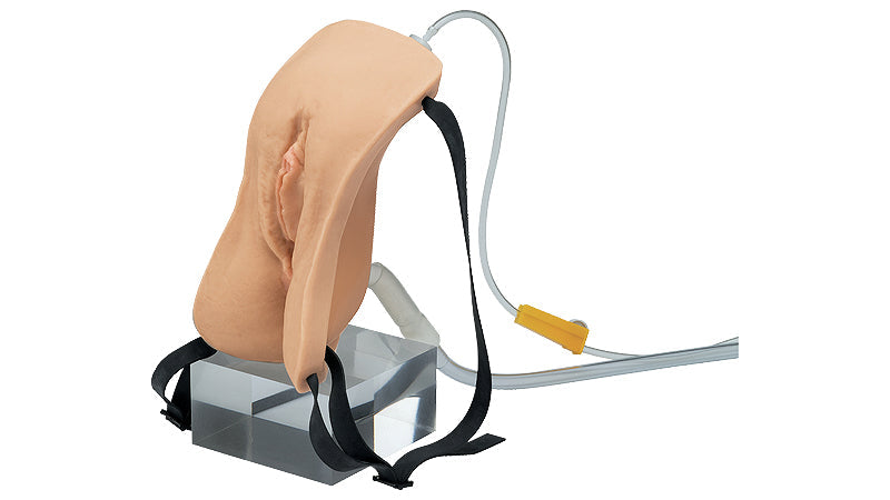 Female Catheterization and Rectal Injection Model Type Ⅱ