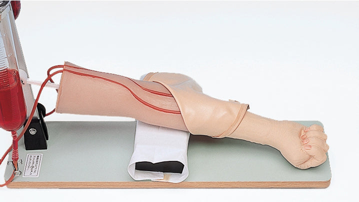 Image 3 - INJECTION AND BLOOD SAMPLING PRACTICE MODEL TYPE Ⅰ