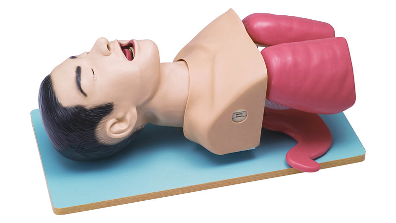 KOKEN Airway Management Model